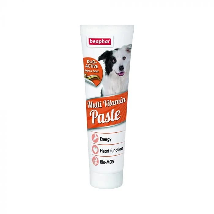 Duo Active Multivitamin Dog Paste, 100 g