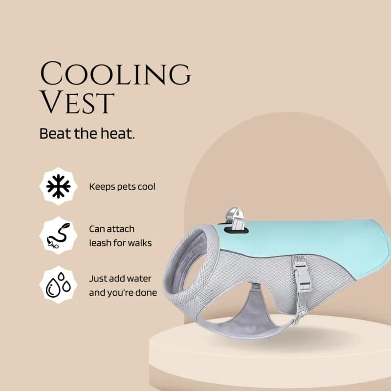 Cooling Vest