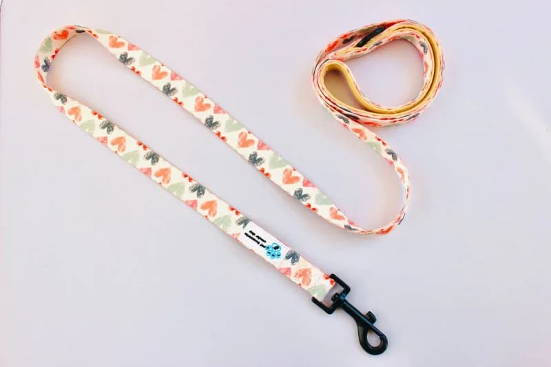 Dog Leashes, One Size 1.52m
